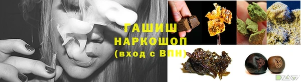 хмурый Осинники