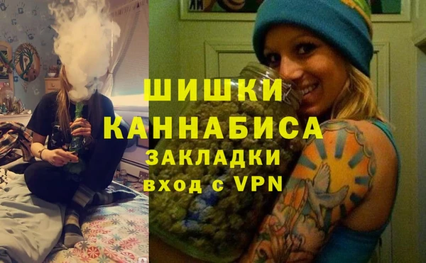 хмурый Осинники