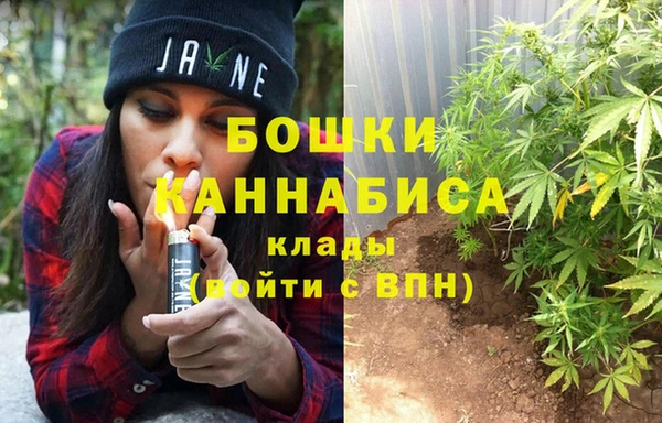 ГАЛЛЮЦИНОГЕННЫЕ ГРИБЫ Осташков